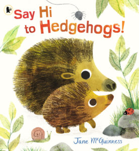 Say-Hi-to-Hedgehogs